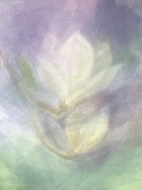 Asli.Natura.010321.ps.what do you think - nice enough like this H_yes it looks nice like this thank you for making a foto.jpg